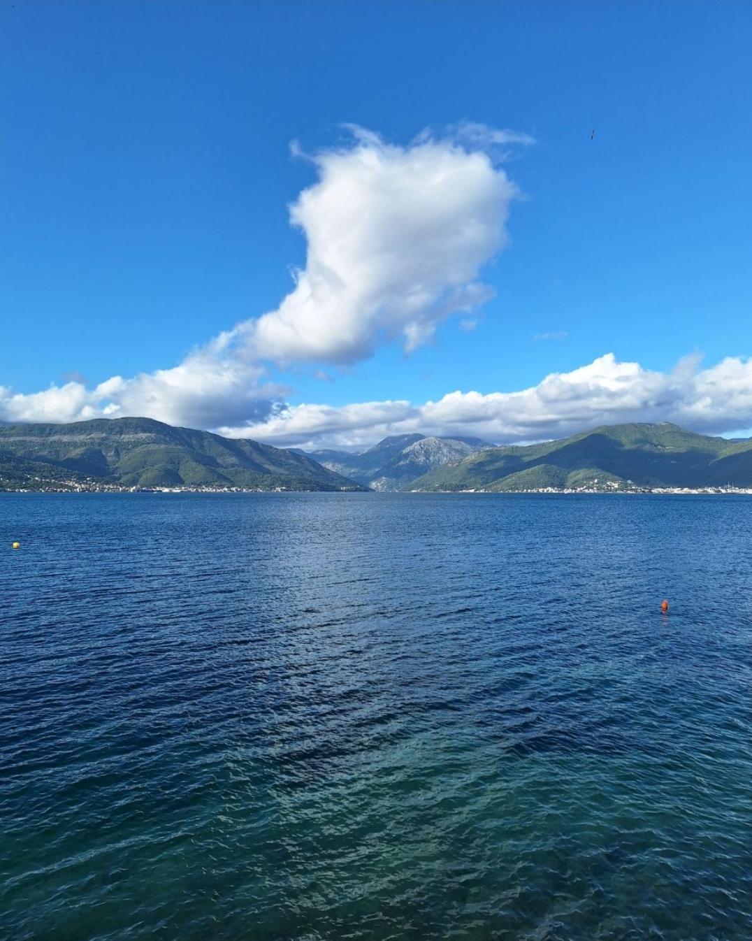 Apartments Ponta Krasici Tivat Dış mekan fotoğraf